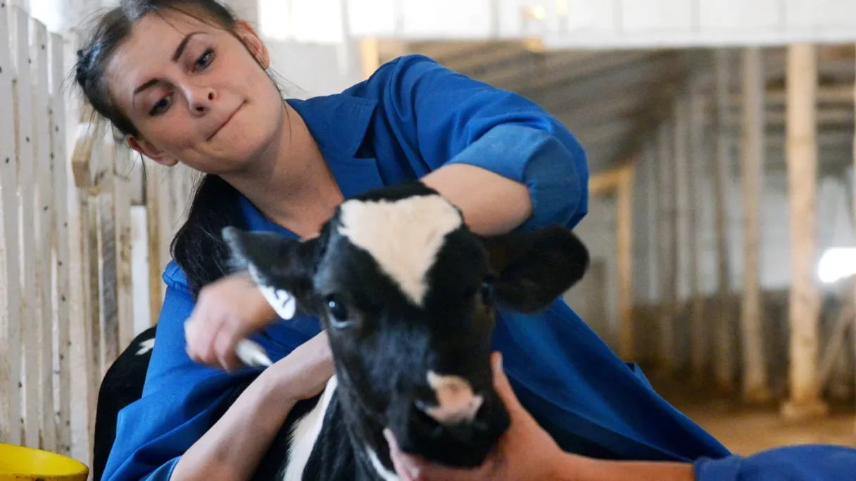 В грамм добыча, в год труды: как государство и бизнес борются за кадры в АПК.